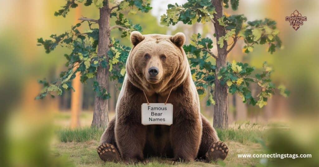 Famous Bear Names with a Playful Twist