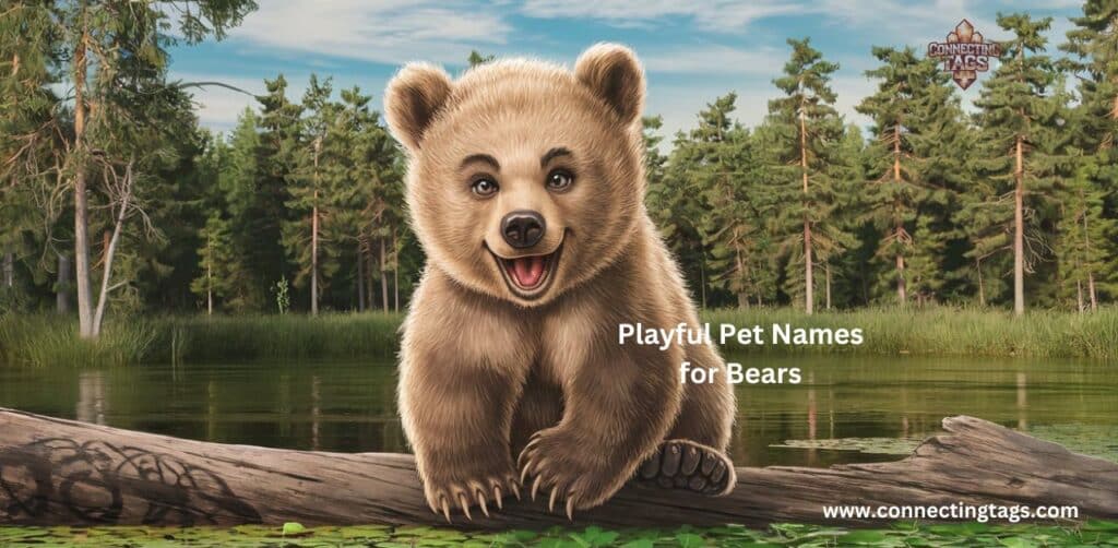 Playful Pet Names for Bears