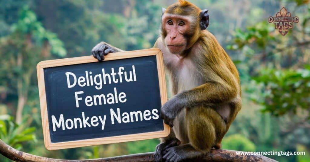 Delightful Female Monkey Names