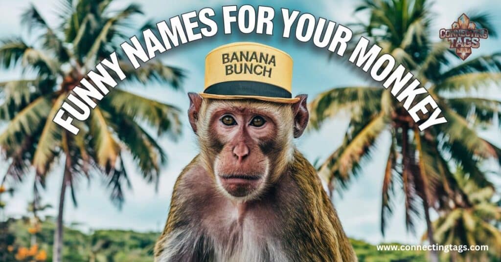 Funny Names for Your Monkey 