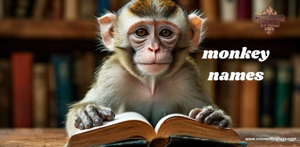 Best Pet Names for Monkey