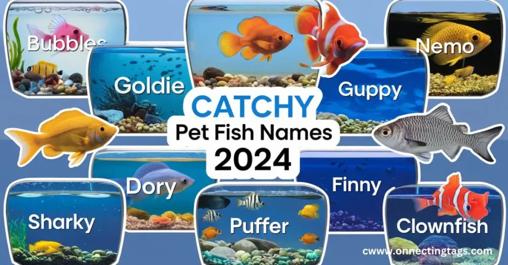 2024 Fish Names 