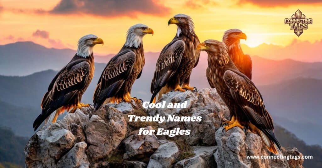 cool names for eagle