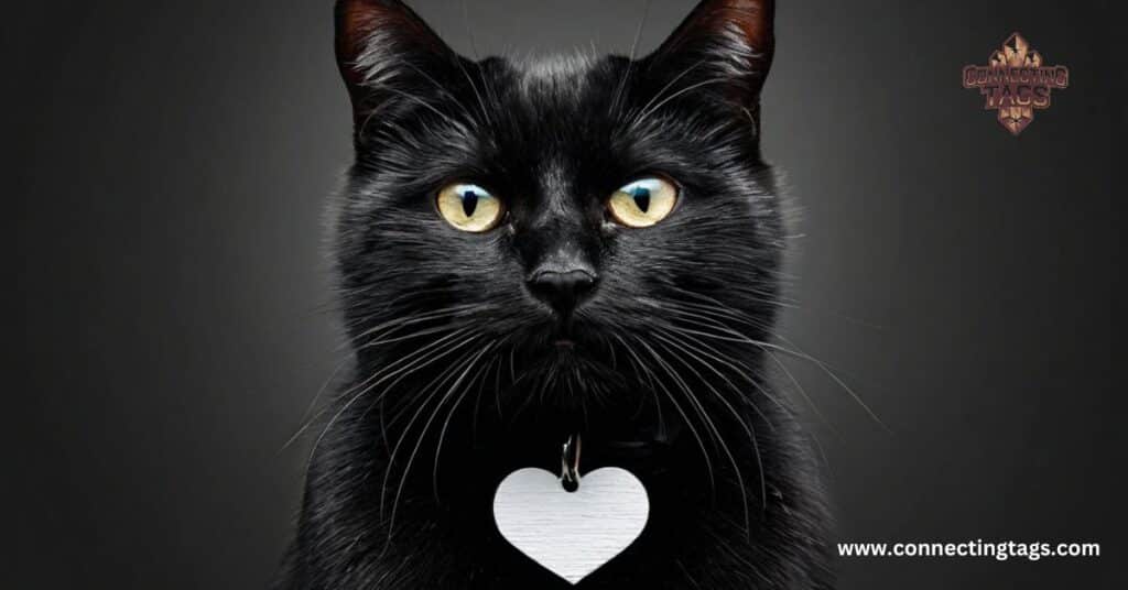 Pet Names for Magical Black Cat