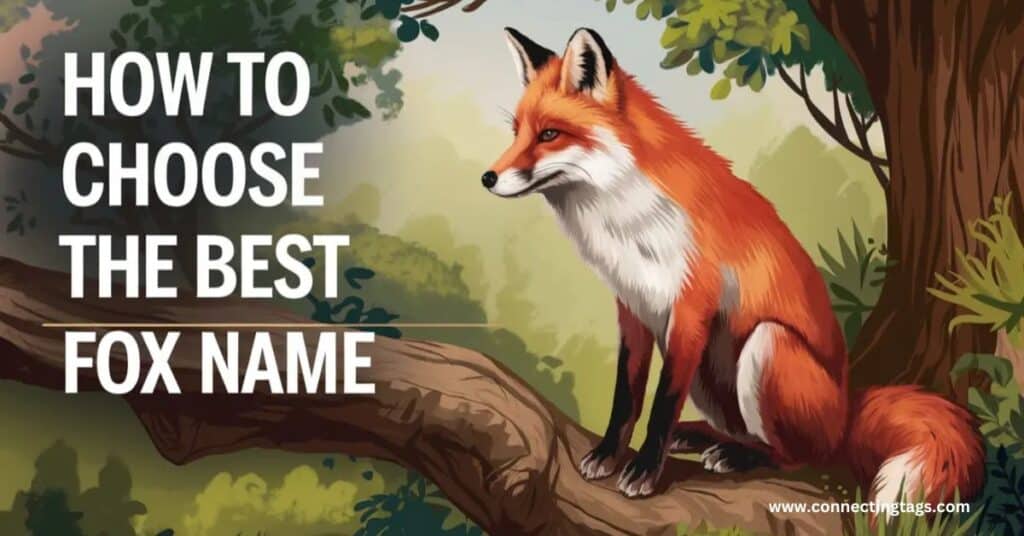 How to Choose the Best Fox Name