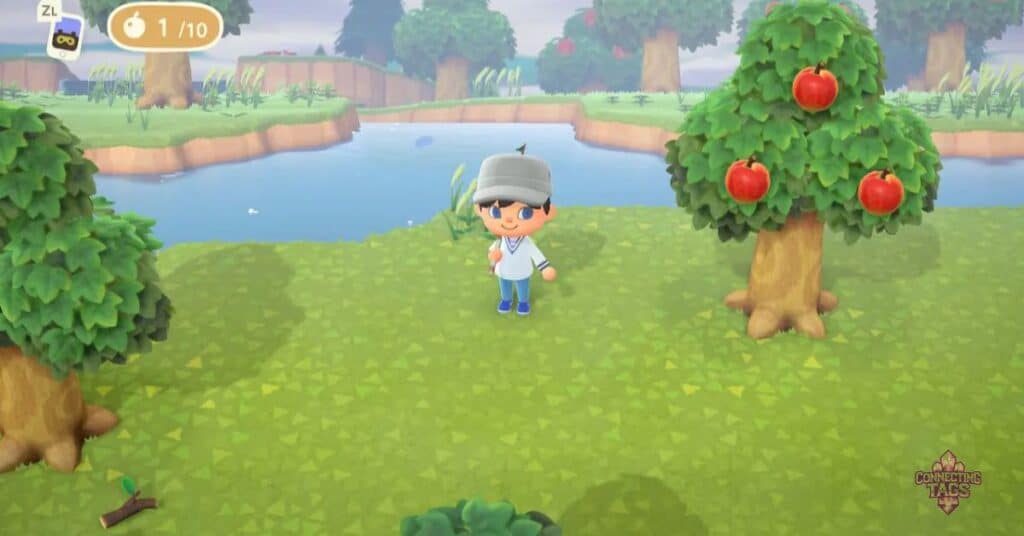 Names for Animal Crossing Island2